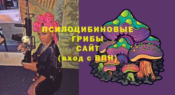 метамфетамин Алексин