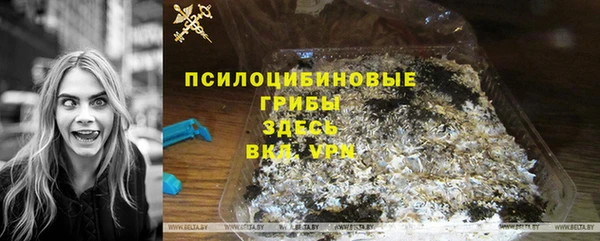 гидра Алзамай
