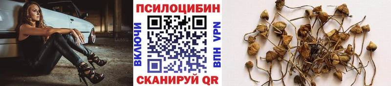 Псилоцибиновые грибы ЛСД  кракен рабочий сайт  Коряжма 